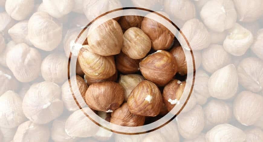 hazelnuts kernels