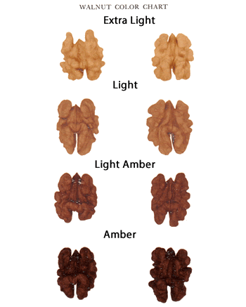 walnuts color grade